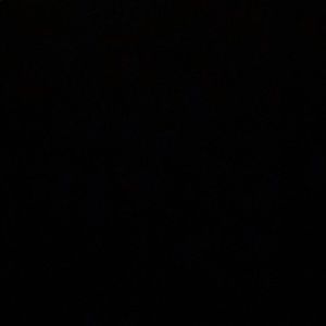 Meet your Posher, Gerald